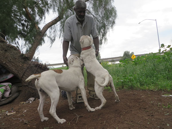 Henry E. Cross Jr and his pups